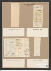 Pleurosigma fasciola (Ehr.) W.Sm. (de-Toni-Nr.: Genus 13, Species 1089) Zeichnungen Sammlung Grunow Nr. 2117 (NHMW-BOT-W0369149)